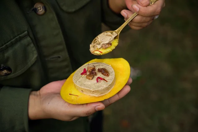 Mango Anjeer Kulfi